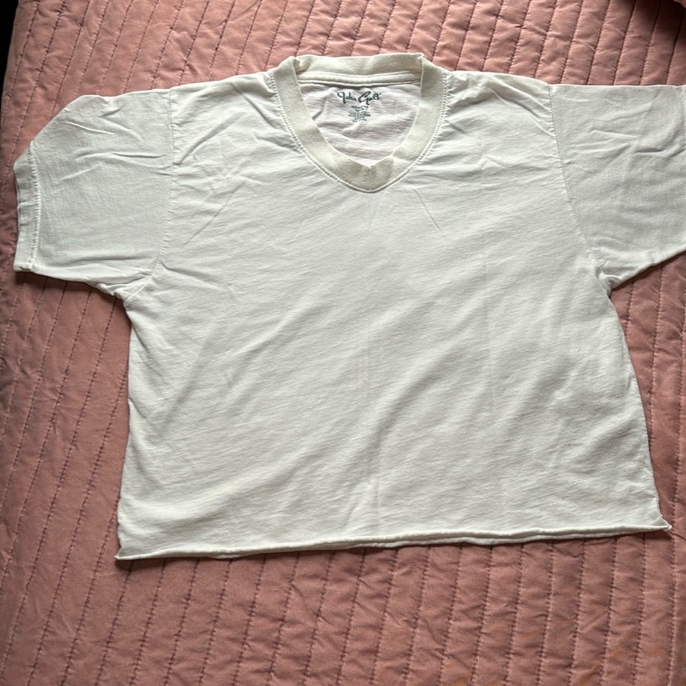 Brandy Melville white v cut shirt